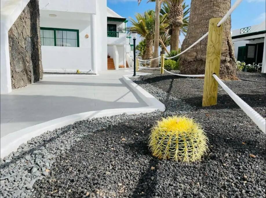 푸에르토 델 카르멘 Refugio Del Caracol 아파트 외부 사진